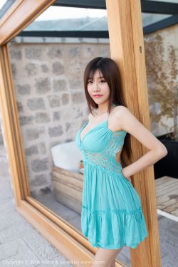 善良女秘书目的